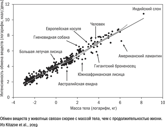 Против часовой стрелки