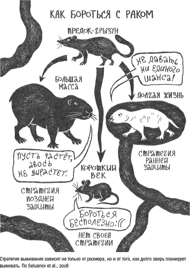 Против часовой стрелки