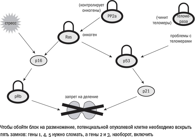 Против часовой стрелки