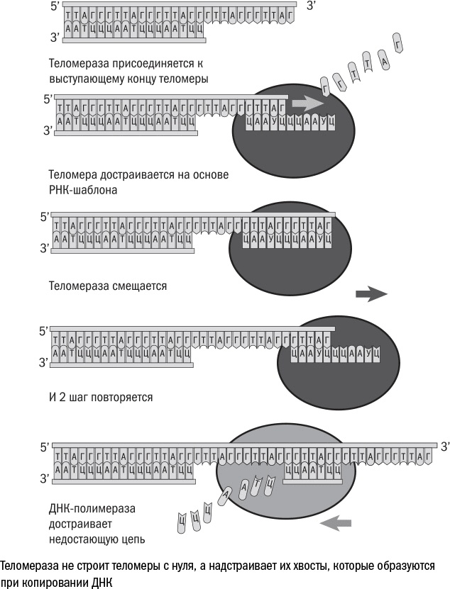 Против часовой стрелки