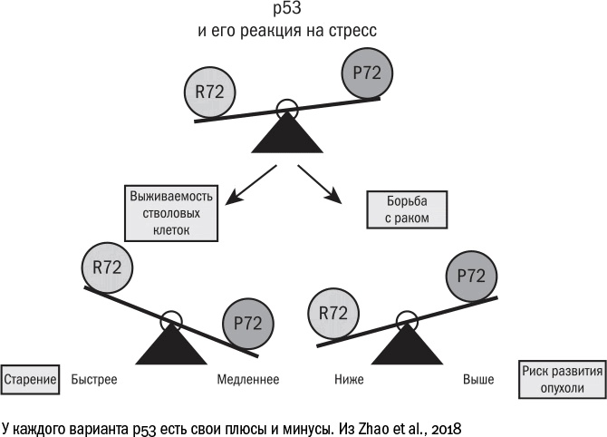 Против часовой стрелки