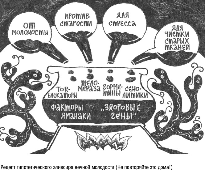 Против часовой стрелки