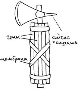 Хлопок одной ладонью