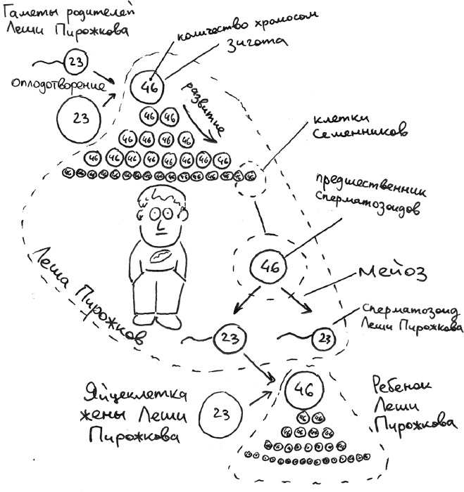 Хлопок одной ладонью