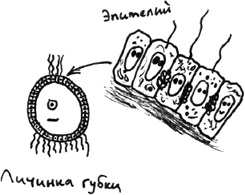 Хлопок одной ладонью