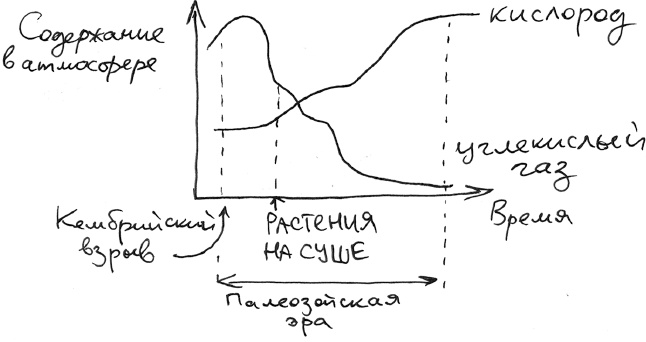 Хлопок одной ладонью