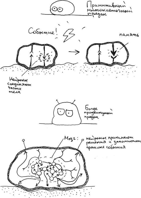 Хлопок одной ладонью