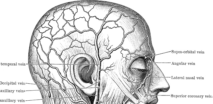 Не жилец! История медицины в увлекательных заметках