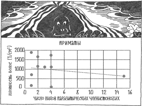 Странная обезьяна. Куда делась шерсть и почему люди разного цвета