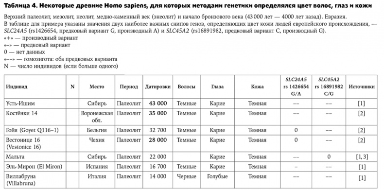 Странная обезьяна. Куда делась шерсть и почему люди разного цвета