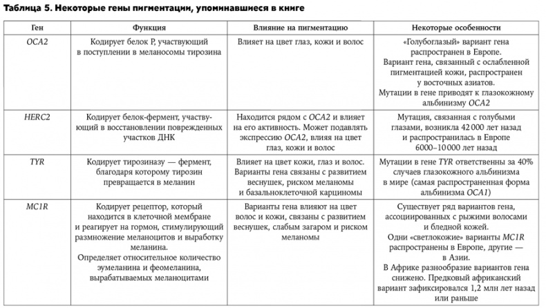 Странная обезьяна. Куда делась шерсть и почему люди разного цвета