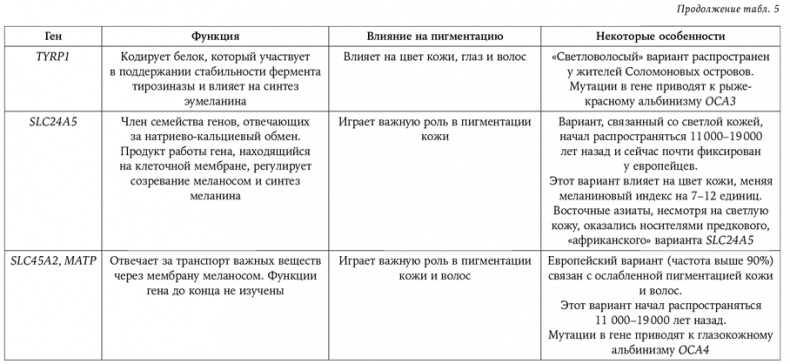 Странная обезьяна. Куда делась шерсть и почему люди разного цвета