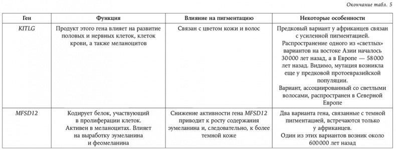 Странная обезьяна. Куда делась шерсть и почему люди разного цвета