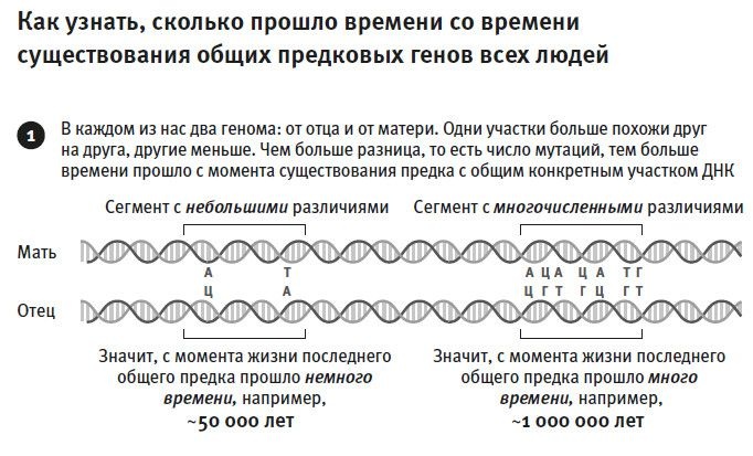 Кто мы и как сюда попали. Древняя ДНК и новая наука о человеческом прошлом