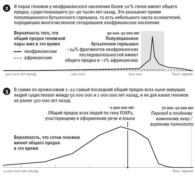 Кто мы и как сюда попали. Древняя ДНК и новая наука о человеческом прошлом