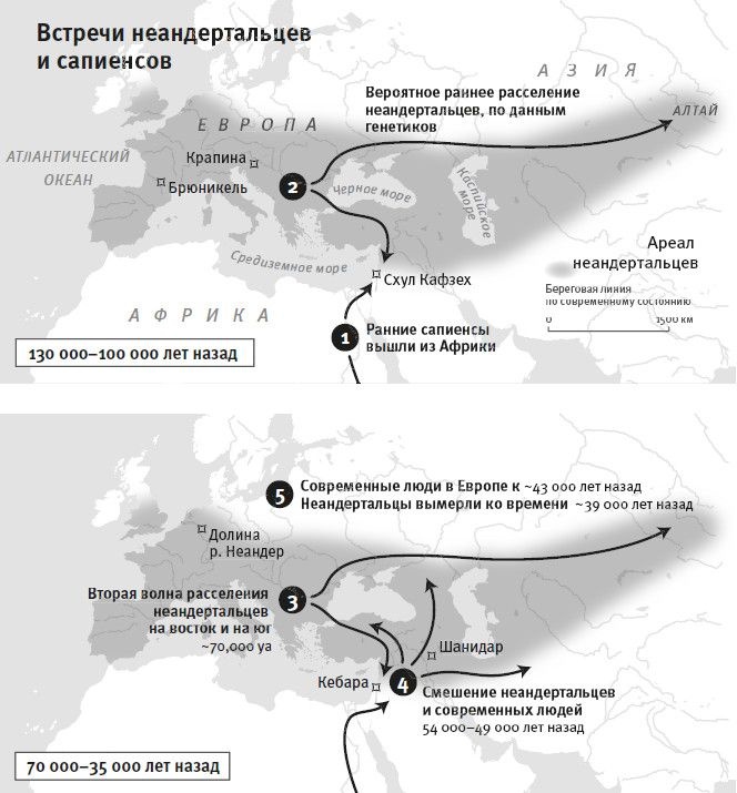 Кто мы и как сюда попали. Древняя ДНК и новая наука о человеческом прошлом