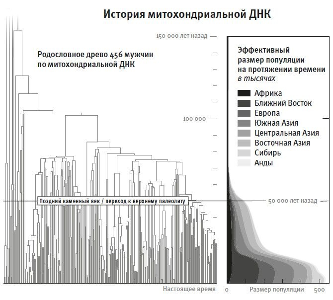 Кто мы и как сюда попали. Древняя ДНК и новая наука о человеческом прошлом