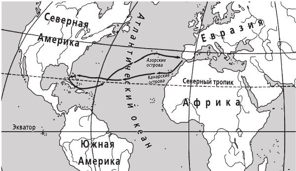 Исчезнувшие цивилизации. Взаимосвязь культур и парадоксы истории