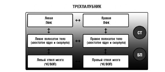 Креативный мозг. Как рождаются идеи, меняющие мир