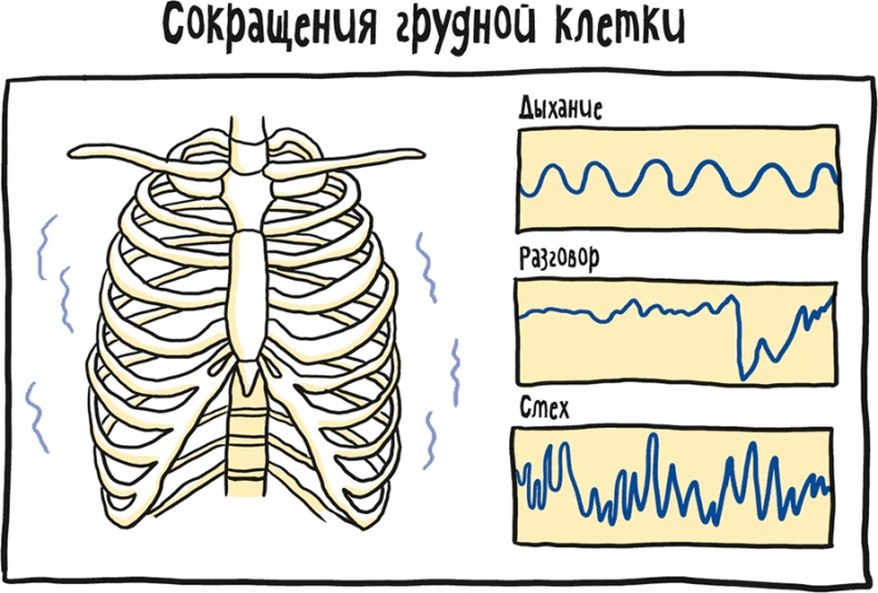 Если бы наши тела могли говорить. Руководство по эксплуатации и обслуживанию человеческого тела