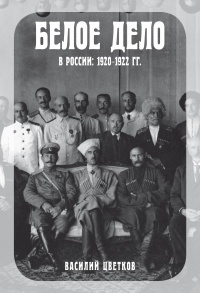 Книга Белое дело в России. 1920–1922 гг.