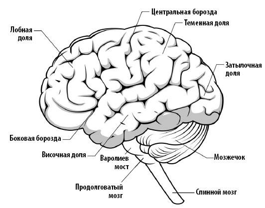 Взламывая психологию