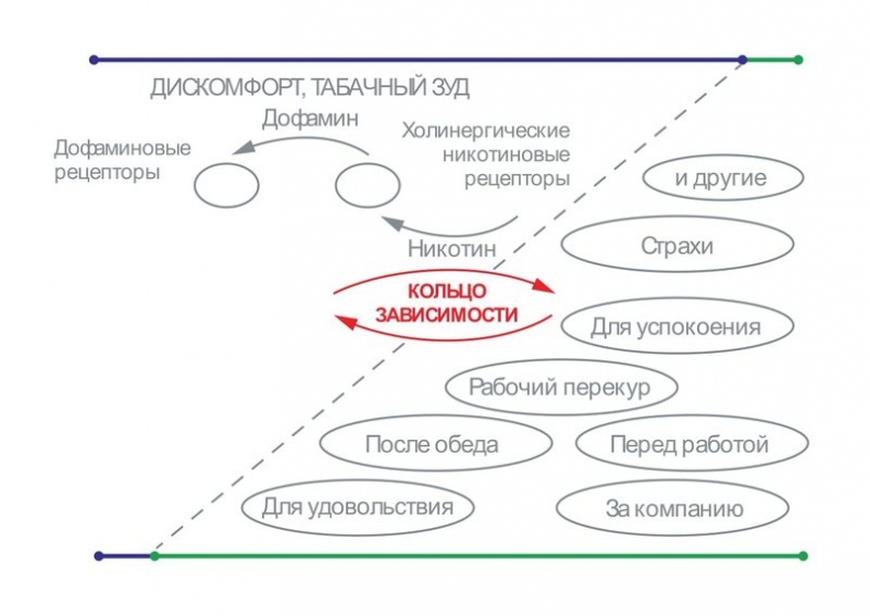 Бросаем курить за два вечера. Как избавиться от зависимости, а не просто перестать покупать сигареты