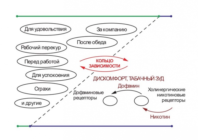 Бросаем курить за два вечера. Как избавиться от зависимости, а не просто перестать покупать сигареты