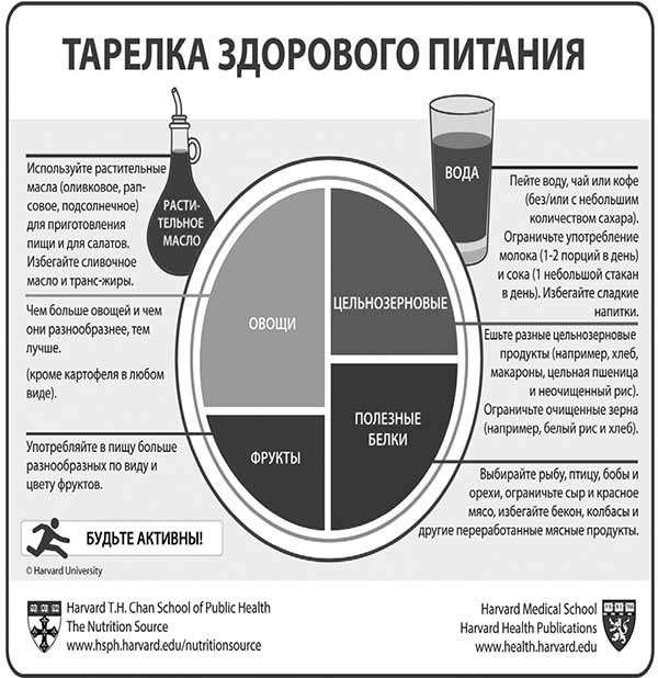 В поисках волшебной таблетки. Научно-популярная сказка