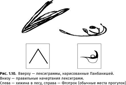 Происхождение языка. Факты, исследования, гипотезы