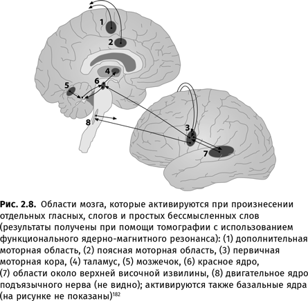 Происхождение языка. Факты, исследования, гипотезы