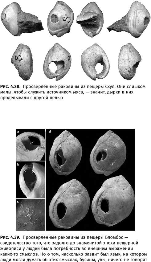 Происхождение языка. Факты, исследования, гипотезы