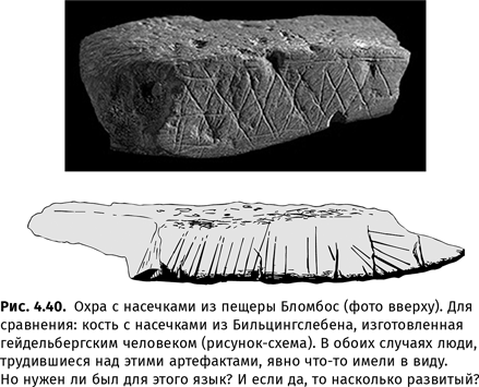 Происхождение языка. Факты, исследования, гипотезы