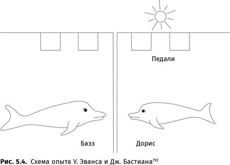 Происхождение языка. Факты, исследования, гипотезы