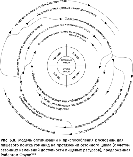 Происхождение языка. Факты, исследования, гипотезы