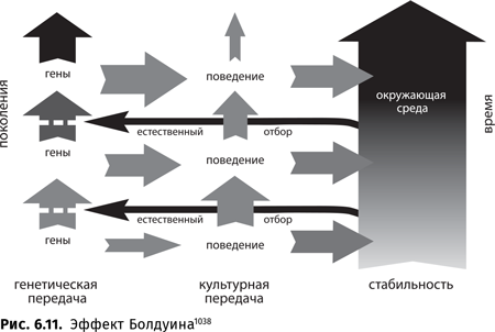 Происхождение языка. Факты, исследования, гипотезы