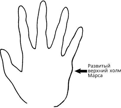 Жизнь на ладони. Хиромантия как инструмент самопознания