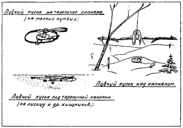 Про тайгу и&nbsp;про охоту. Воспоминания, рекомендации, извлечения