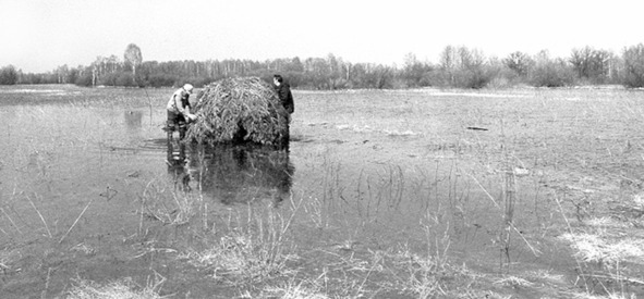 Про тайгу и&nbsp;про охоту. Воспоминания, рекомендации, извлечения