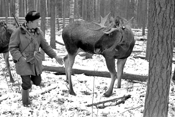 Моя тропа. Очерки о природе