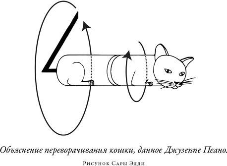 Загадка падающей кошки и фундаментальная физика
