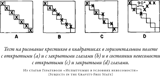 Загадка падающей кошки и фундаментальная физика