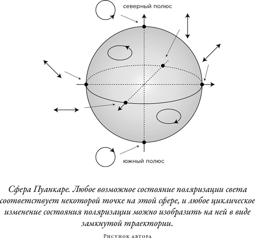 Загадка падающей кошки и фундаментальная физика