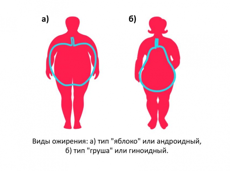 Все, что нужно знать об ожирении для эффективного похудения