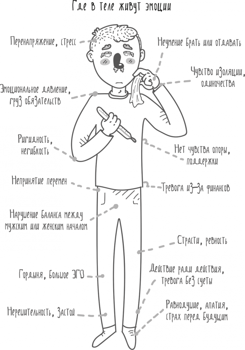 Между разумом и чувствами