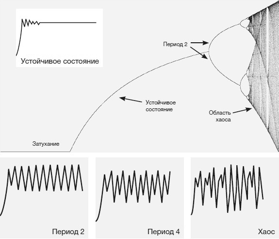 Хаос. Создание новой науки