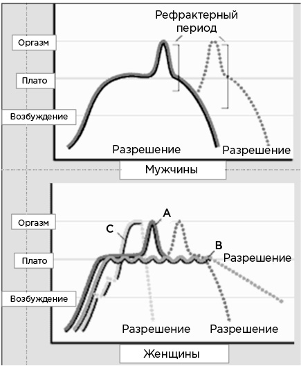 Мозг и его потребности. От питания до признания