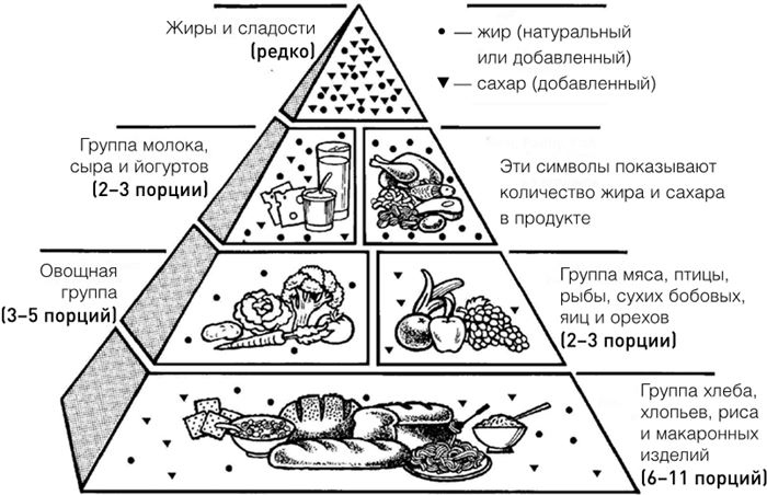 Челюсти. Научное исследование о взаимосвязи между зубами, мозгом и кишечником + 40-дневный план питания, который поможет вернуть в норму здоровье ротовой полости и сформировать иммунитет к кариесу