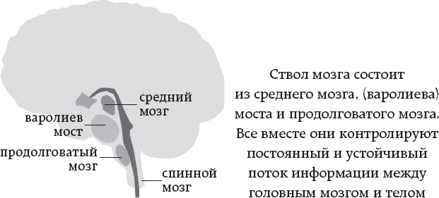 One simple thing: почему йога работает? Новый взгляд на науку йоги