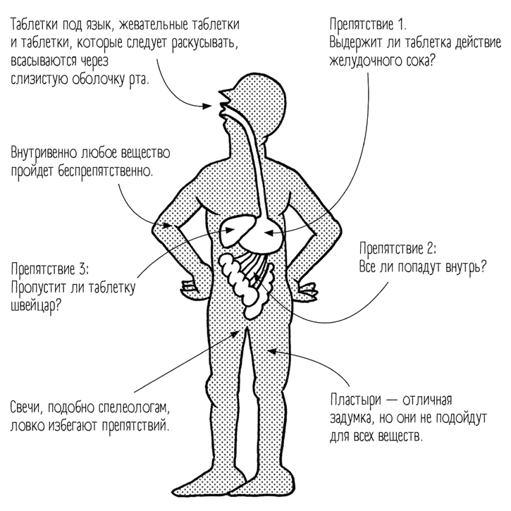 Чем запить таблетку? Фармацевт о том, почему нельзя делить таблетки на части, хранить их на кухне и запивать всем подряд